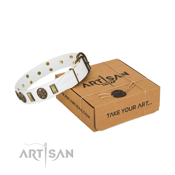 Rust-proof fittings on full grain leather dog collar for daily use