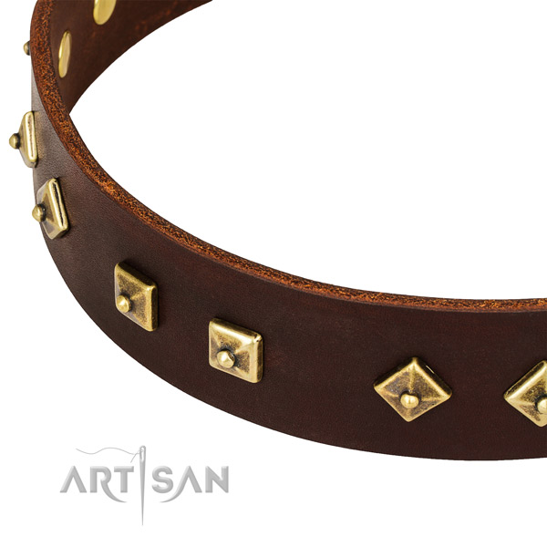 Impressive full grain natural leather collar for your stylish four-legged friend