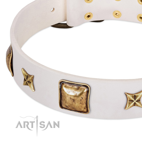 Reliable fittings on full grain leather dog collar for your dog