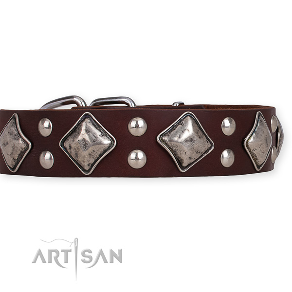Leather dog collar with top notch rust-proof embellishments