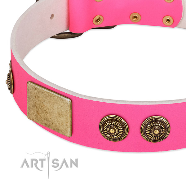 Fine quality dog collar created for your beautiful canine