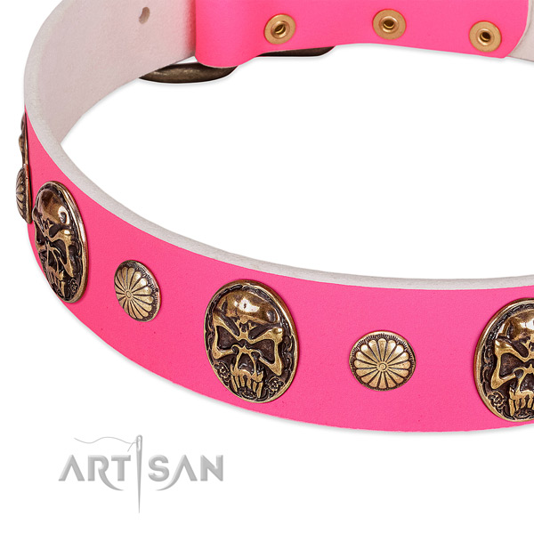 Corrosion proof decorations on full grain leather dog collar for your canine