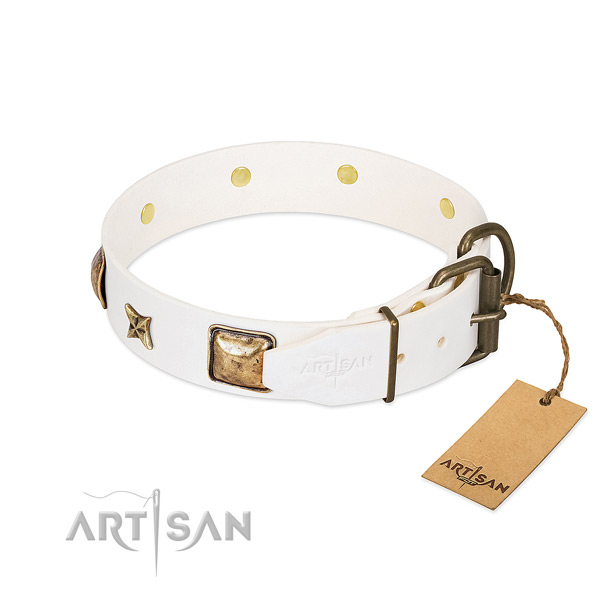 Full grain leather dog collar with strong hardware and decorations