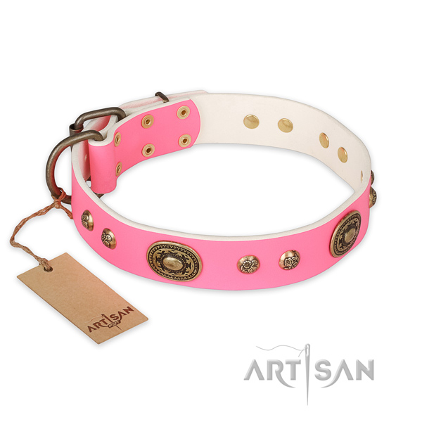 Unusual full grain natural leather dog collar for daily use