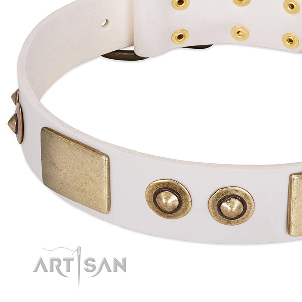 Strong adornments on genuine leather dog collar for your dog