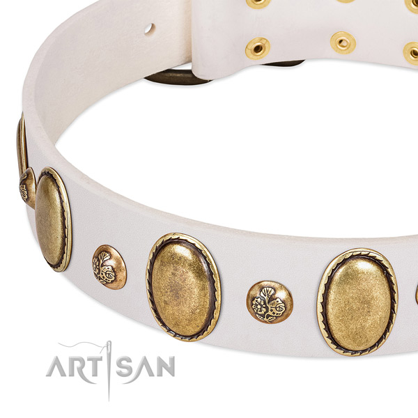 Leather dog collar with stylish adornments
