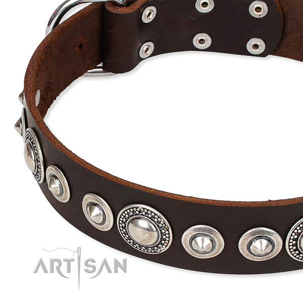 Comfy wearing adorned dog collar of durable full grain genuine leather