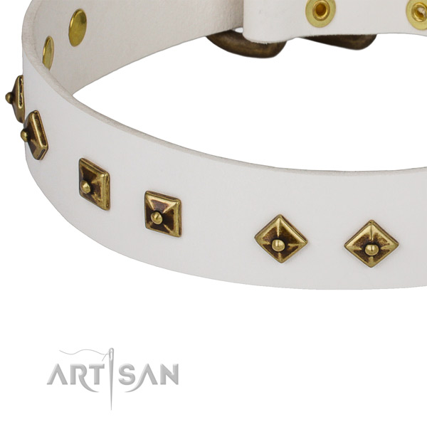 Adorned genuine leather collar for your handsome canine