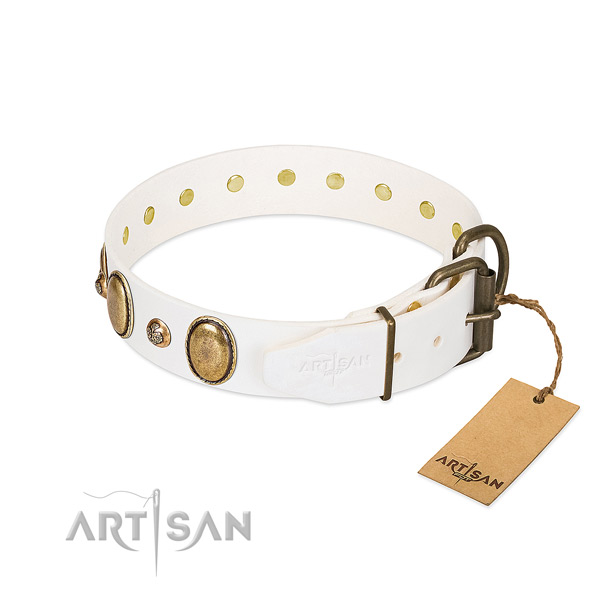 Everyday walking full grain natural leather dog collar