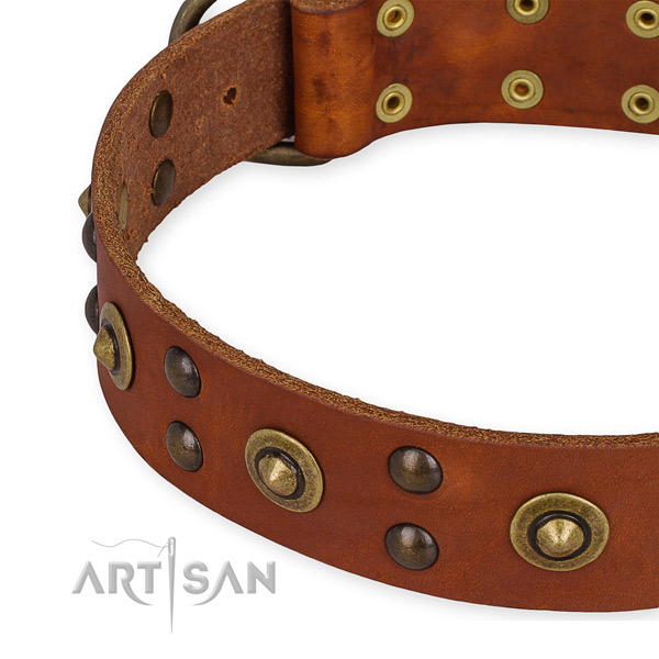 Genuine leather collar with reliable buckle for your handsome dog