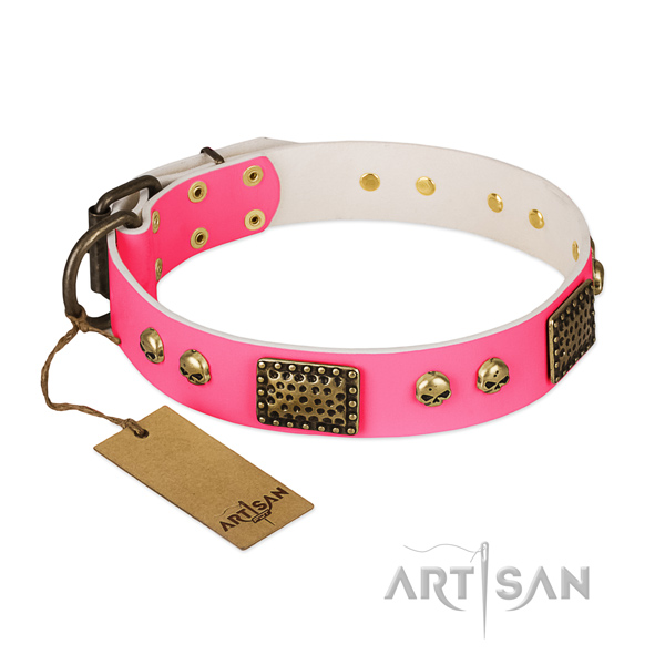 Easy to adjust full grain genuine leather dog collar for everyday walking your canine