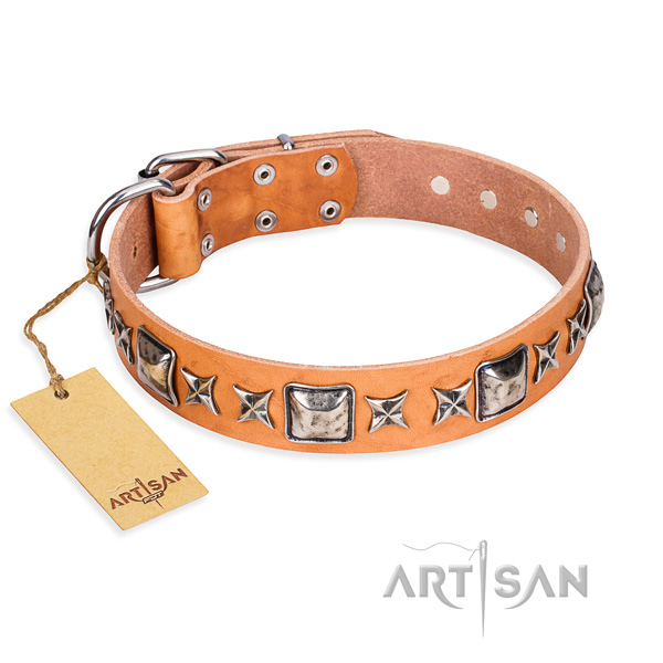 Basic training dog collar of best quality natural leather with embellishments