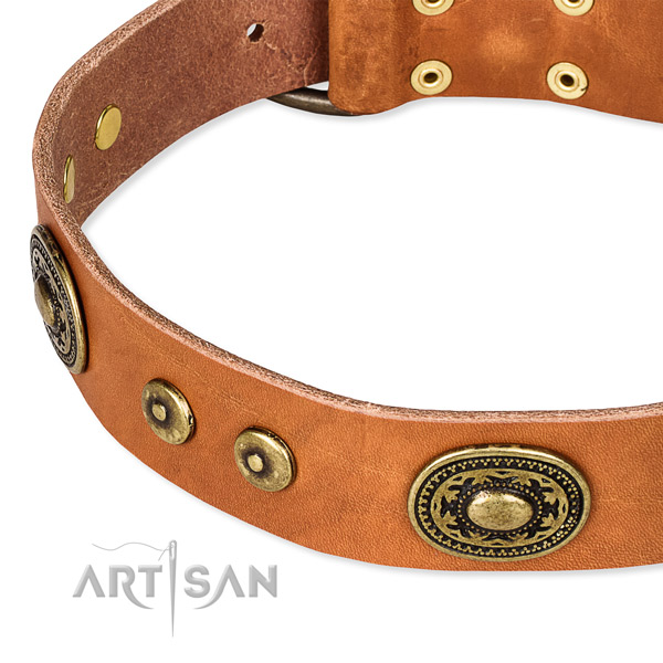Leather dog collar made of top notch material with embellishments