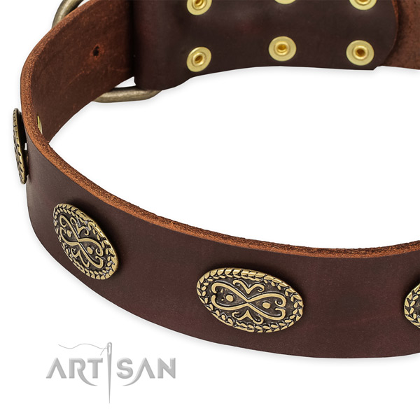 Impressive natural genuine leather collar for your attractive four-legged friend