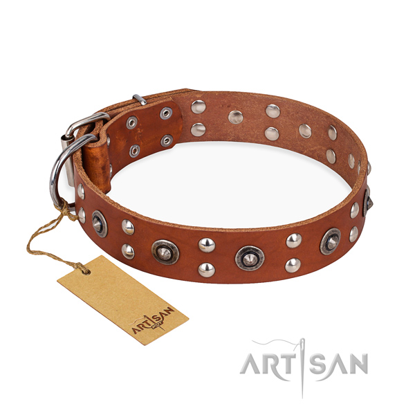 Fancy walking unique dog collar with reliable fittings