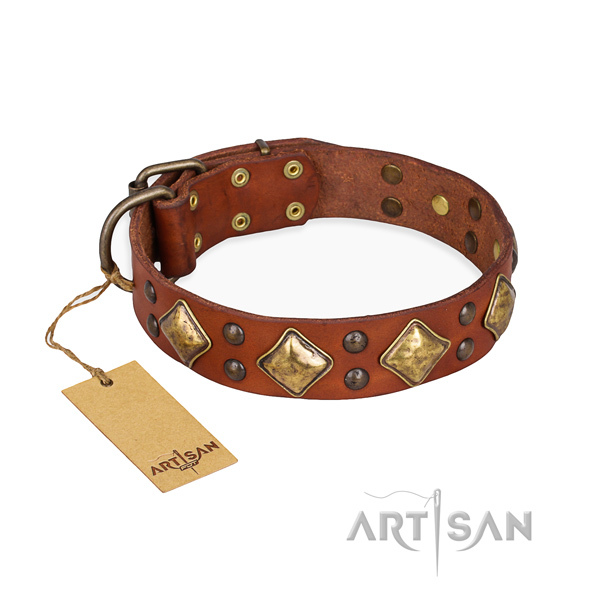 Stylish walking decorated dog collar with corrosion resistant fittings