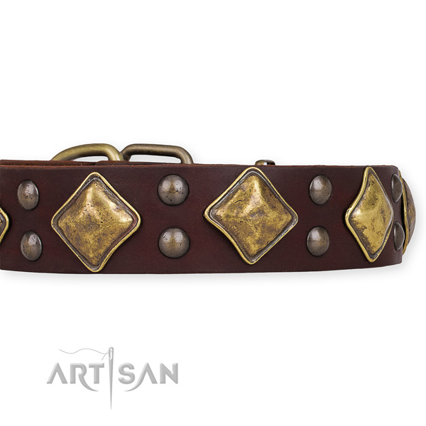 Natural leather dog collar with amazing durable embellishments