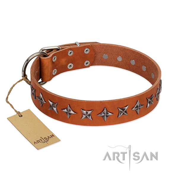 Basic training dog collar of strong leather with embellishments