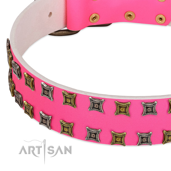 Natural leather dog collar with exquisite adornments