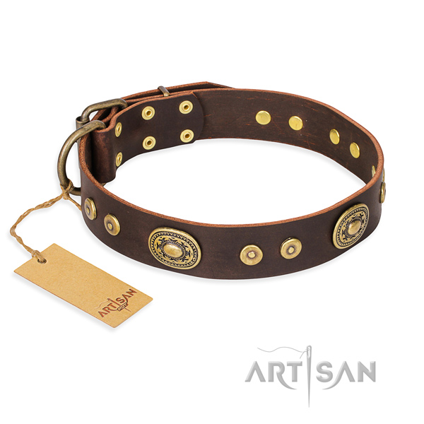 Leather dog collar made of quality material with durable fittings