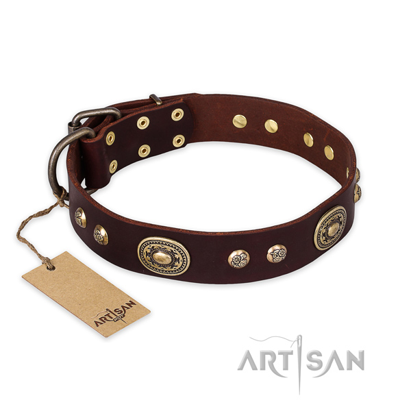 Stunning leather dog collar for stylish walking