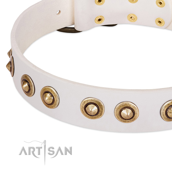 Strong decorations on natural leather dog collar for your pet