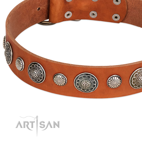 Genuine leather collar with strong fittings for your attractive doggie