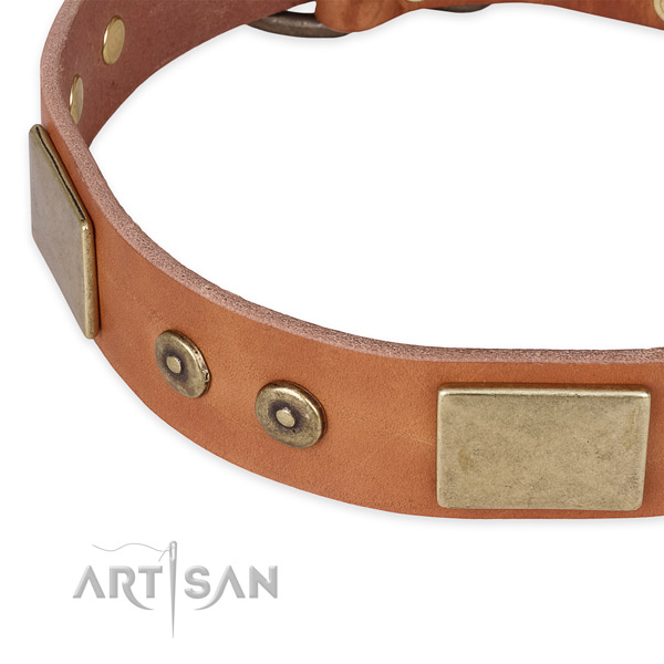 Rust resistant buckle on genuine leather dog collar for your dog