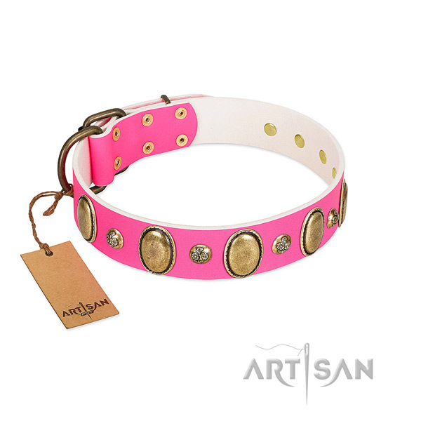 Everyday walking quality full grain natural leather dog collar with studs