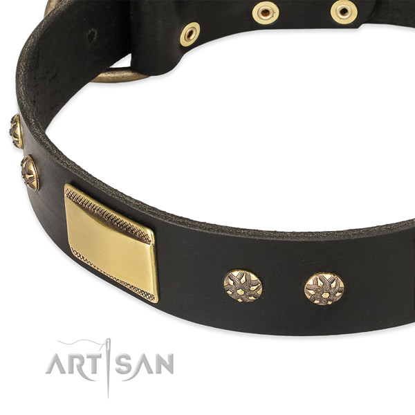 Durable traditional buckle on leather dog collar for your four-legged friend