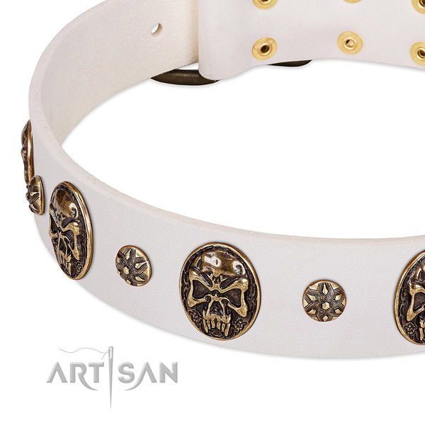 Rust-proof embellishments on full grain genuine leather dog collar for your pet