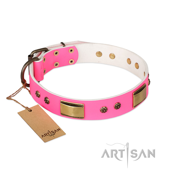 Best quality genuine leather collar for your pet