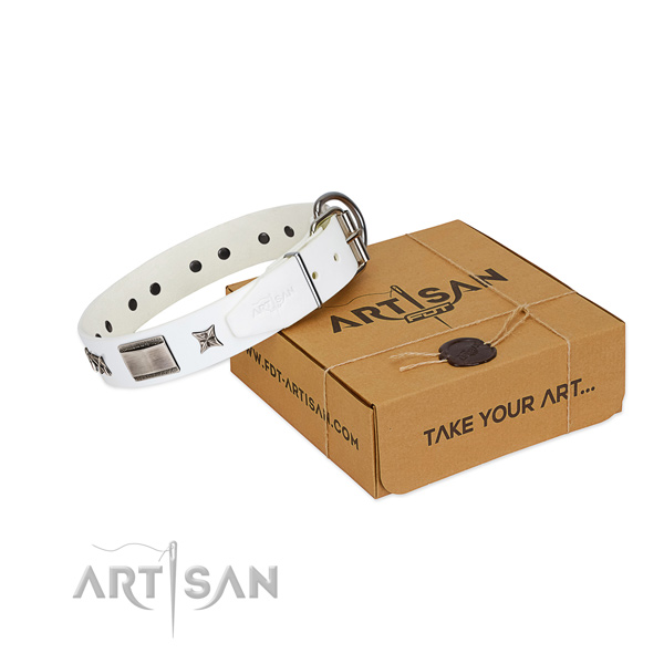 Designer collar of genuine leather for your impressive doggie