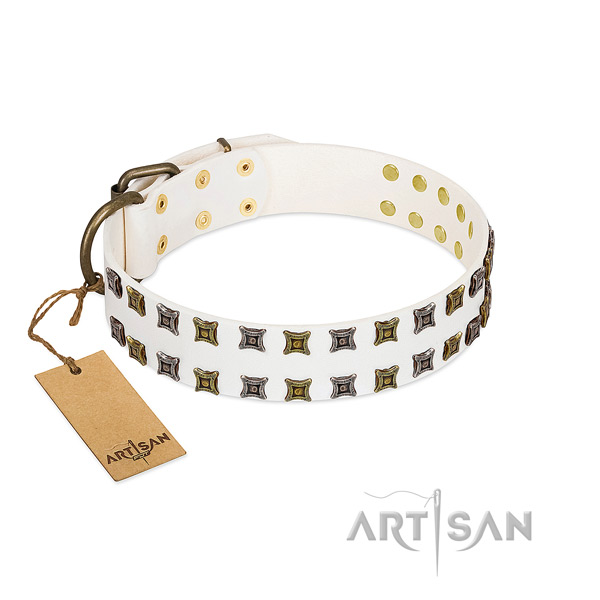 Quality full grain genuine leather dog collar with embellishments for your four-legged friend