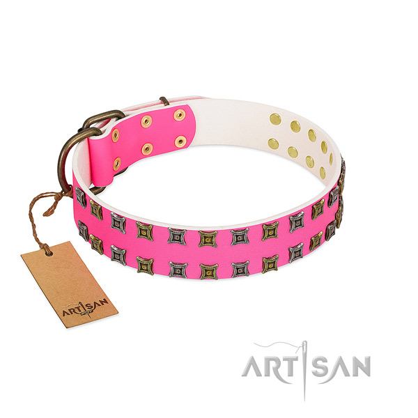Leather collar with inimitable studs for your doggie