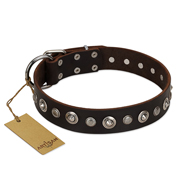 "Gorgeous Shields" FDT Artisan Brown Leather Bullmastiff Collar with Old Silver-like Circles and Small Camomiles "Gorgeous Shields" FDT Artisan Brown Leather Bullmastiff Collar with Old Silver-like Circles and Small Camomiles
