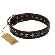 "Stars of Glory" FDT Artisan Brown Leather Bullmastiff Collar for Comfortable Walking