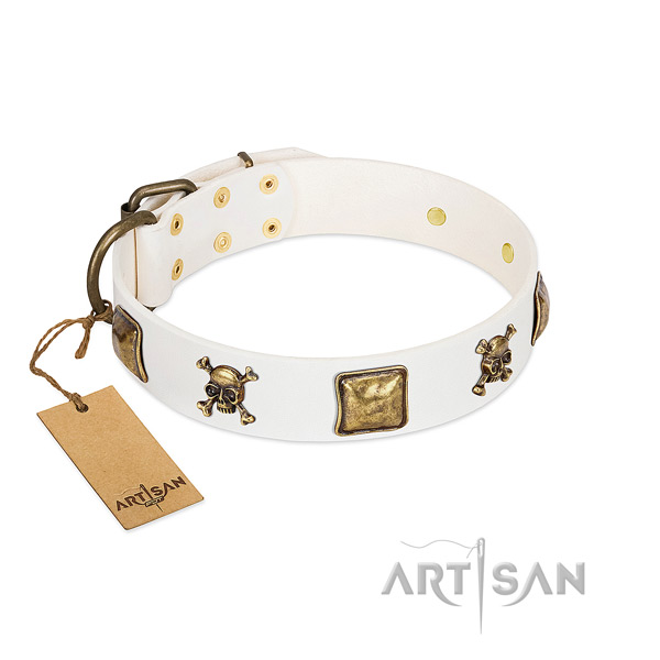 Remarkable genuine leather dog collar with durable embellishments