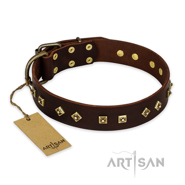 Stylish full grain leather dog collar with reliable buckle