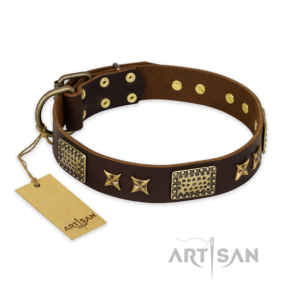 Amazing full grain natural leather dog collar with rust resistant fittings