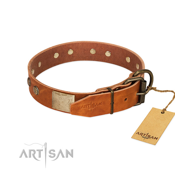 Strong embellishments on daily walking dog collar