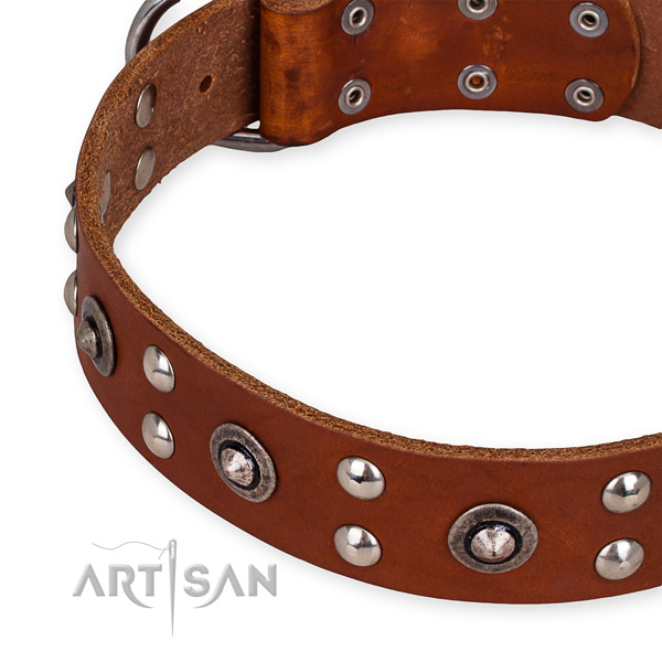 Full grain genuine leather collar with reliable buckle for your stylish four-legged friend