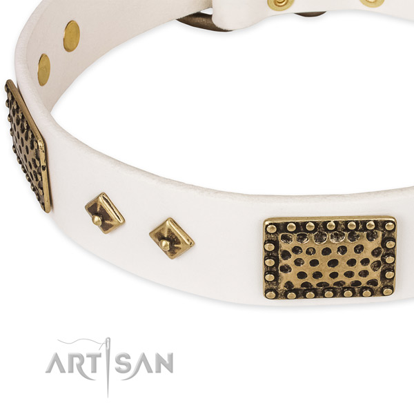 Corrosion proof studs on leather dog collar for your canine