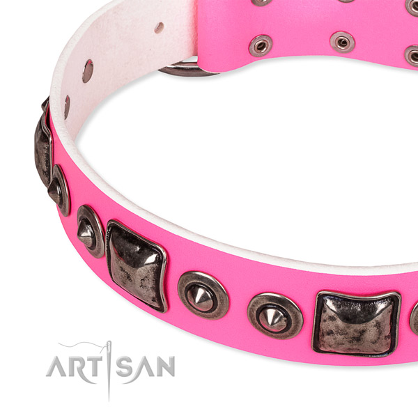 Top rate leather dog collar created for your stylish dog