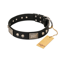 "Pirates Gold" FDT Artisan Black Leather Bullmastiff Collar with Old Silver Look Plates and Skulls