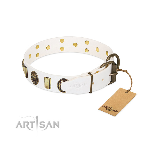 Reliable buckle on full grain natural leather collar for basic training your doggie