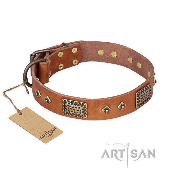 Fine quality leather dog collar for daily walking