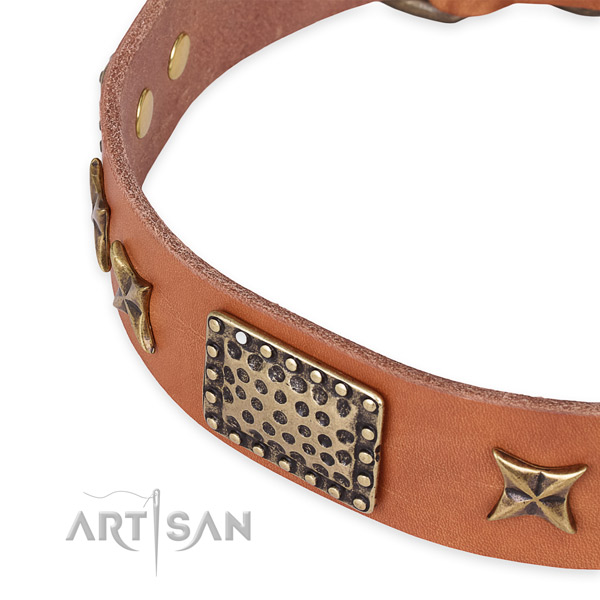 Full grain natural leather collar with corrosion resistant hardware for your stylish doggie