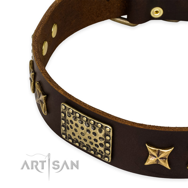 Full grain leather collar with rust-proof hardware for your impressive four-legged friend
