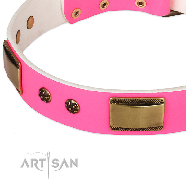 Strong adornments on genuine leather dog collar for your canine